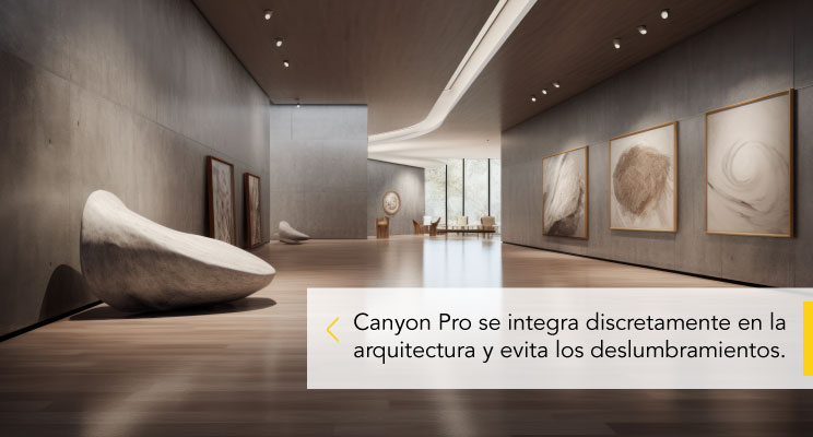 Luminarias dirigibles Canyon Pro