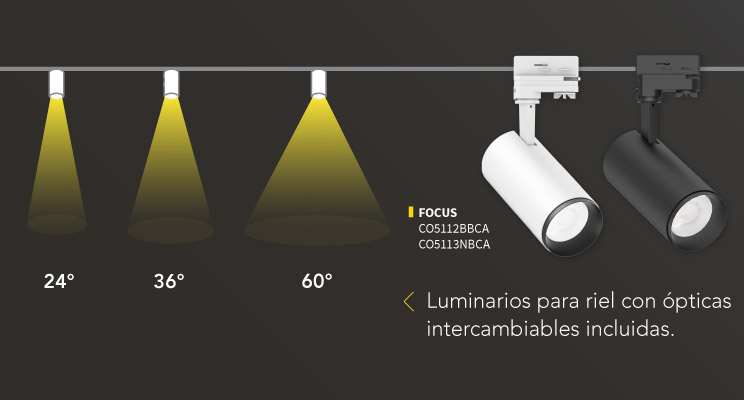 Construlita (2021-06-30) Focus riel